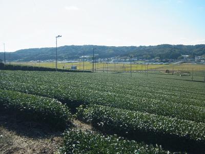 R0012630.jpg