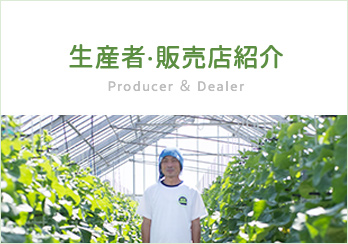 生産者・販売店紹介